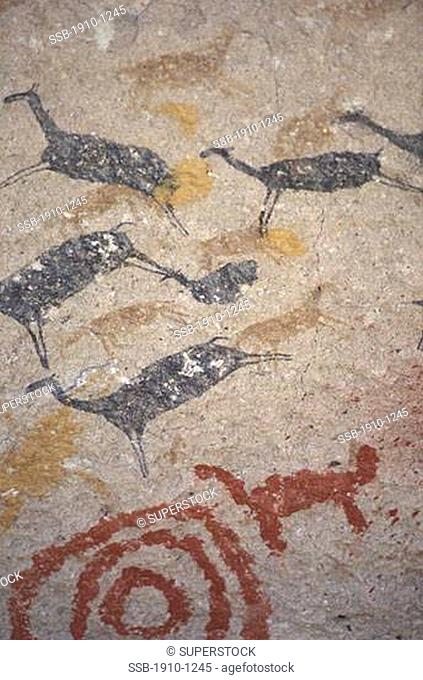 Paintings in Cuevas Los Manos Alto Rio Pinturas 10000 year old rock art most paintingsin these caves are of hands these are the exception ARGENTINA Patagonia