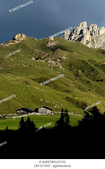 Alpine hut at a mountainside, Alpe di Siusi, Nature reserve Schlern Rosengarten, South Tyrol, Italy, Europe