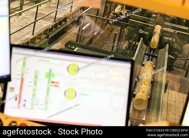 PRODUCTION - 07 June 2021, Baden-Wuerttemberg, Hausach: Tree trunks are transported on a conveyor belt while in the foreground a monitor of an automated cutting...