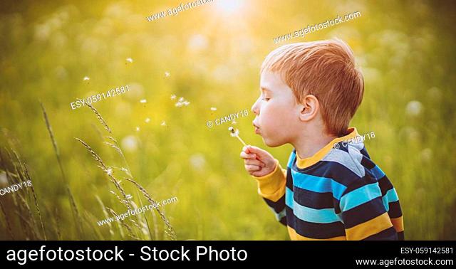 Happy boy blowing on the white dandelion's blowball at sunny summer evening. Child outdoors in nature