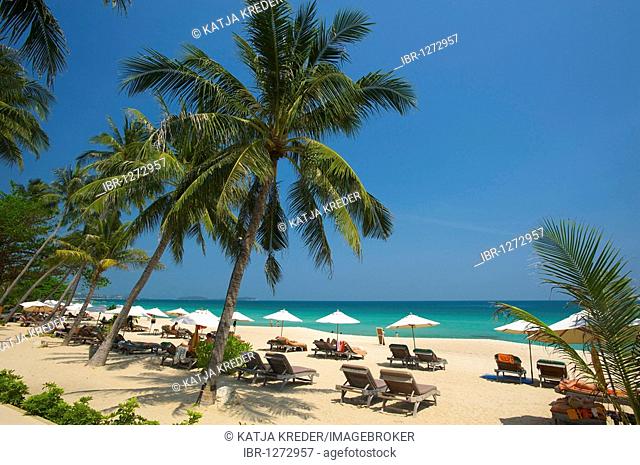 Palm beach, Chaweng Beach, Ko Samui island, Thailand, Asia
