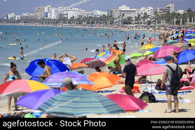 23 August 2023, Spain, Palma: Numerous people enjoy a summer day on the beach Cala Major. Spain is experiencing the fourth official heat wave of this year's...