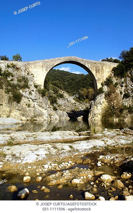 Medieval bridge over river Llierca, Garrotxa, Girona province, Catalonia, Spain