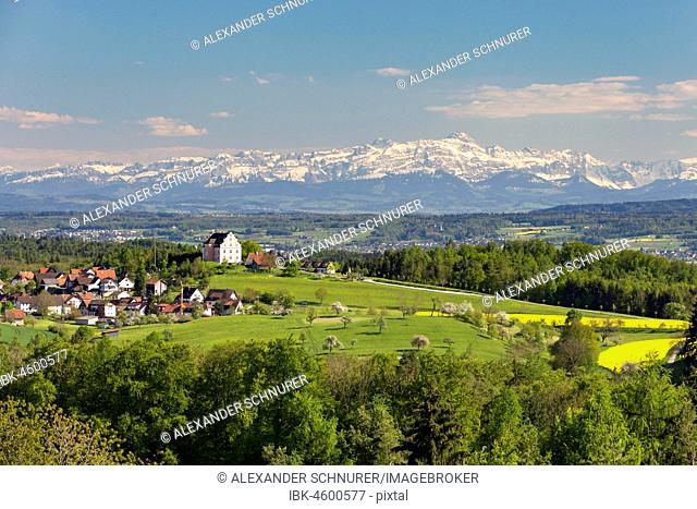 View of Freudental Castle, behind mountain range with Alpstein and Säntis, Allensbach, Lake Constance region, Baden-Württemberg, Germany