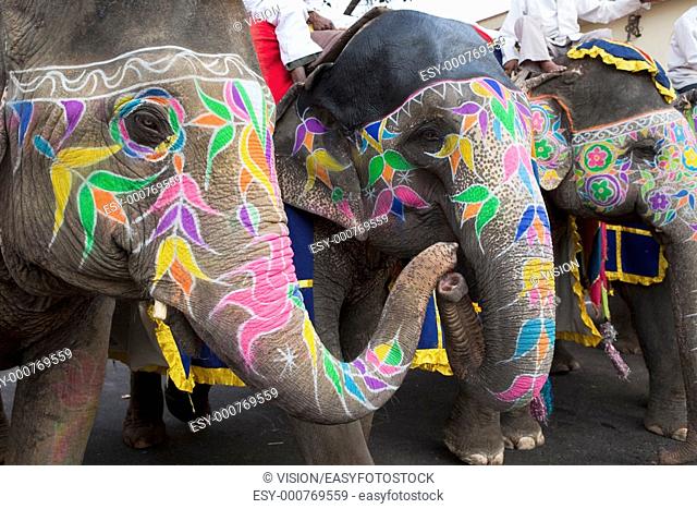 Jaipur, Rajasthan, India - March 29 : people and elephants of the city are celebrating the gangaur festival one of the most important of the year march 29 2009...