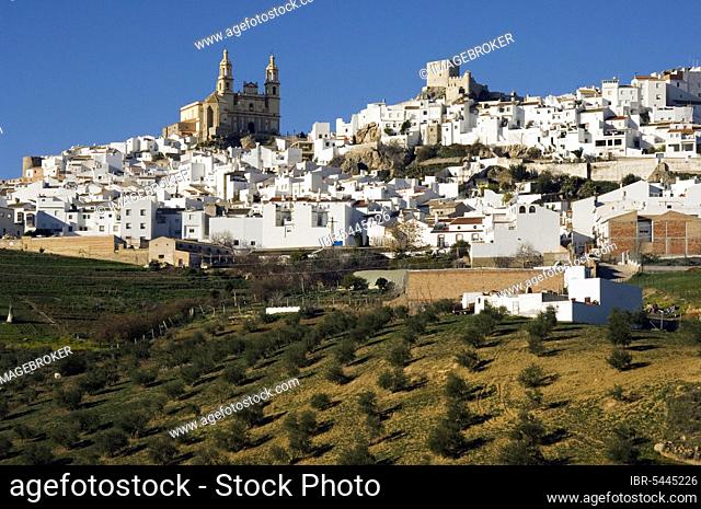 Olvera with Encarnacion Church and Moorish Fortress, White Villages, Pueblos Blancos, Andalusia, Spain, Moors, Europe