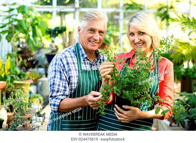 Happy couple holding potted plant in greenhouse