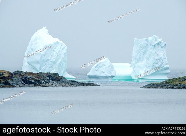 Giant iceberg, Goose Cove, Newfoundland and Labrador NL, Canada