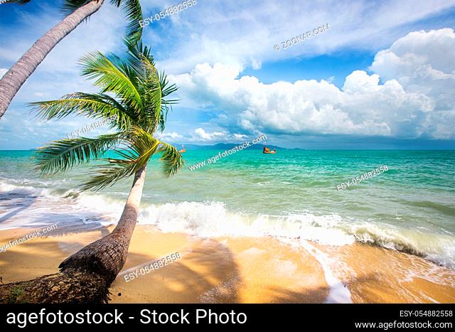 Stormy sea and beach with coconut palm trees. Koh Samui, Thailand
