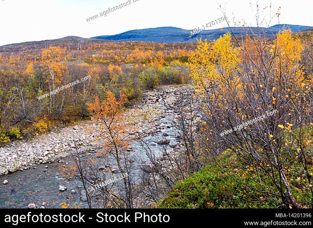 Sweden, Norrbotten County, autumn landscape near Abisko, river