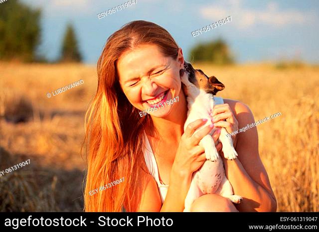 Young brunette woman, holding Jack Russell terrier puppy, that is chewing and licking her ear, so she smiles, sunset lit wheat field in background