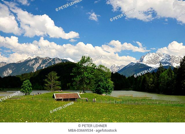 Germany, Bavaria, Werdenfels, Gerold, Geroldsee, marsh meadow, Karwendel mountains