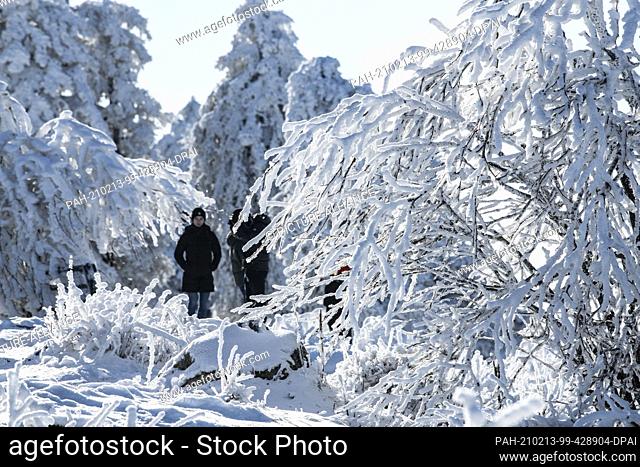 13 February 2021, Hessen, Schmitten: The trees on the Feldberg in the Taunus are covered with ice and snow. Temperatures drop well below freezing