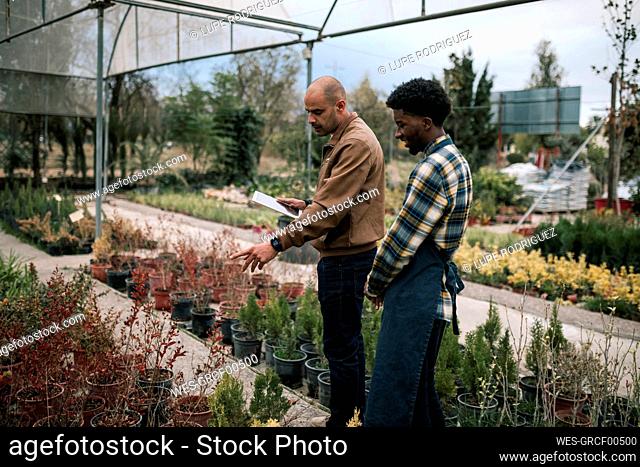 Mature owner discussing over potted plants with male farmer at greenhouse
