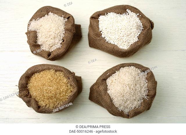 Still life: Rice. Top to bottom and left to right: Thai rice, glutinous rice, Patna rice, long grain basmati rice