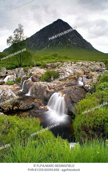 View of moorland with small waterfalls in rocky stream and mountain in background, Stob Dearg, Buachaille Etive Mor, Glen Etive, Highlands, Scotland, june