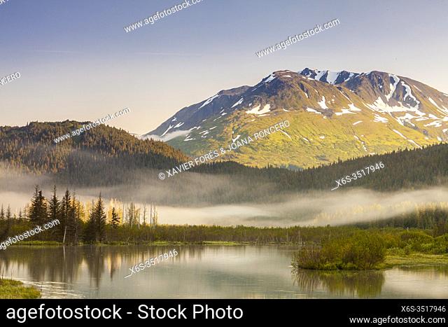 Kenai Fjords National Park, Kenai Peninsula, Alaska, U. S. A