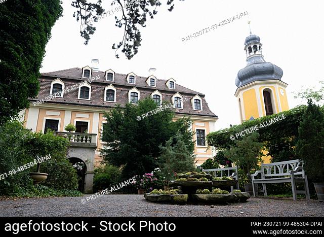 21 July 2023, Saxony, Pirna: Hydrangeas bloom in front of the country castle Zuschendorf. The occasion is the XVI Hydrangea Show (22 July to 06 August 2023)...