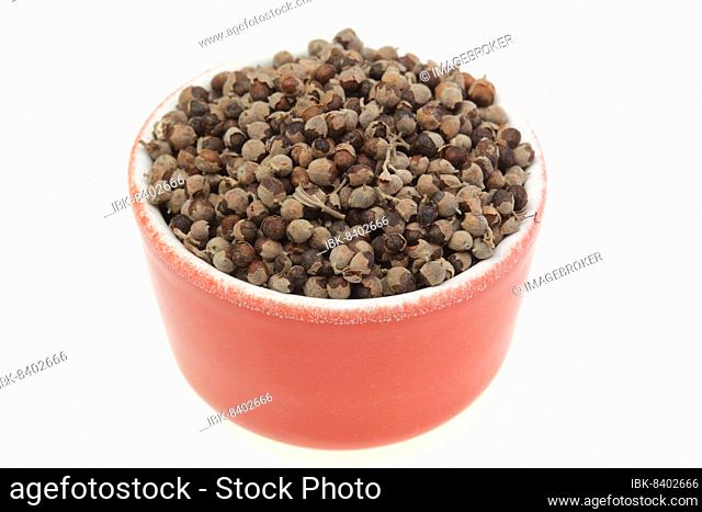 Medicinal plant Monk's pepper, Monk's pepper seeds, Chaste mud, Vitex agnus castus, Medicinal plant Agnus castus, Chaste berry, Chastetree