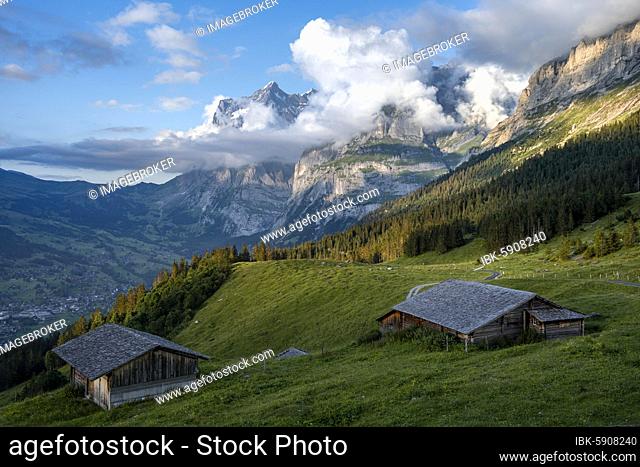 Evening mood, mountain huts, alpine pasture, Pfingstegg, behind the summit of the Wetterhorn, Jungfrau region, Grindelwald, Bern, Switzerland, Europe