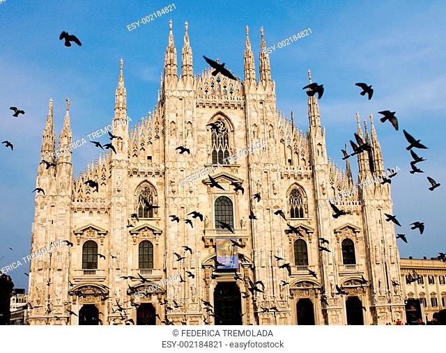Milan's Cathedral