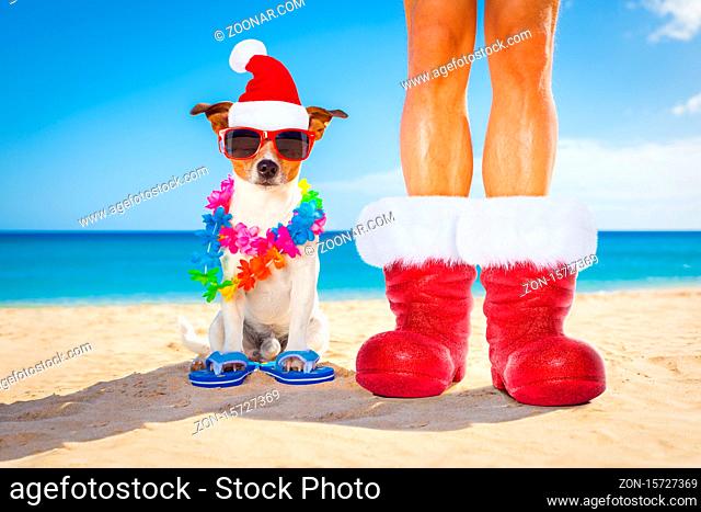 dog and owner sitting close together at the beach on summer christmas vacation holidays, wearing a santa claus hat and red boots
