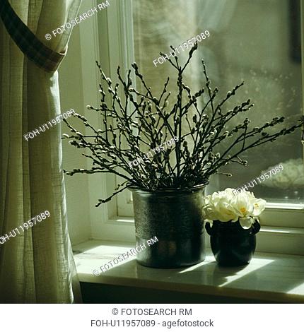 Close-up of pussy-willow branches in ceramic pot on windowsill