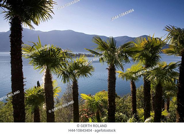 Switzerland, Europe, Ronco, Lake Maggiore, Canton Ticino, Water, Landscape, Nature, Scenic, scenery, landscape, View