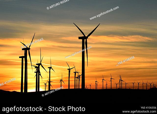Sunset at the big wind farm located in La Lancha mountain pass