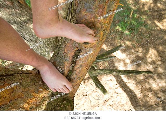The feet of a woman who climbed in a tree