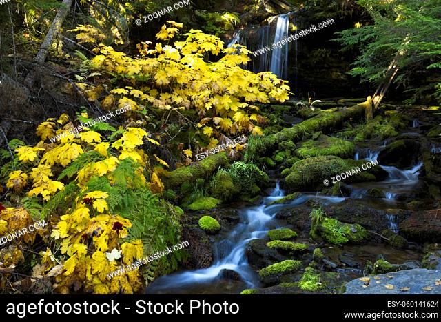 Water cascading down the rocks coming from Fern Falls in north Idaho in autumn