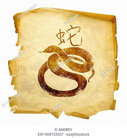 Snake Zodiac icon, isolated on white background