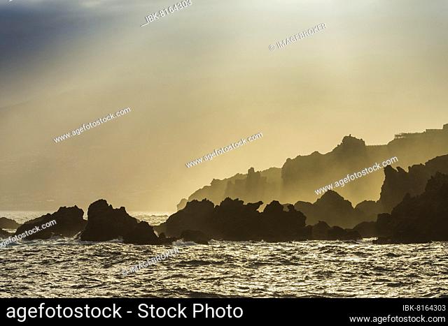 Lava rock coast with with morning mist, Charco del Viento, La Guancha, Tenerife, Canary Islands, Spain, Europe