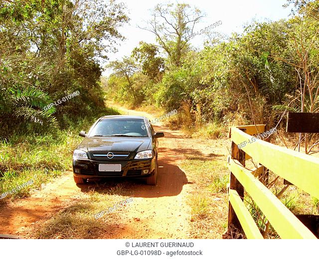 Dirt road, Pantanal, Mato Grosso do Sul, Brazil