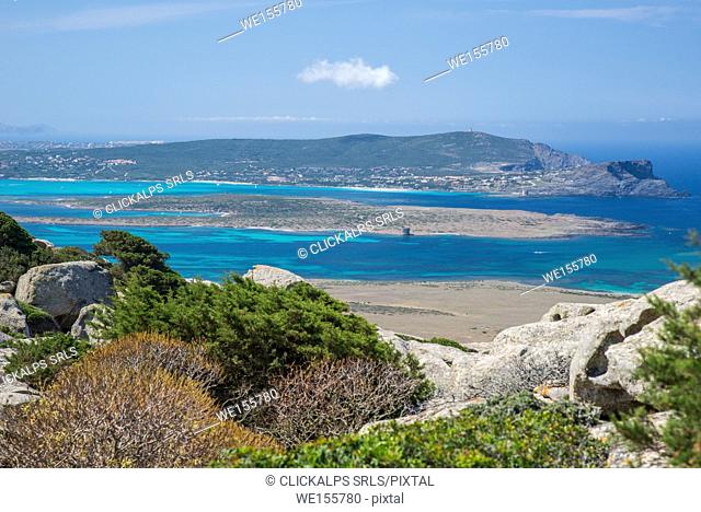 From Castellaccio, Asinara island, Porto Torres, Sassari province, sardinia, italy, europe