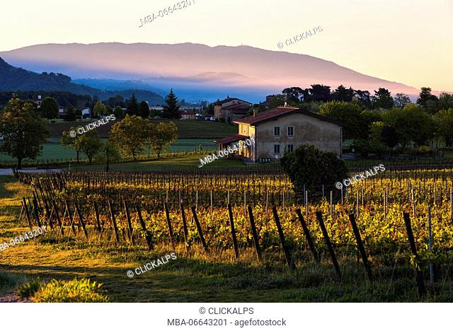 Sunrise in Franciacorta, Brescia province, lombardy district, Italy, Europe