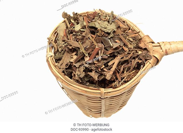 dried leaves of the medicinal plant common Dyer's weed , Ban Lan Gen , Isatis tinctoria