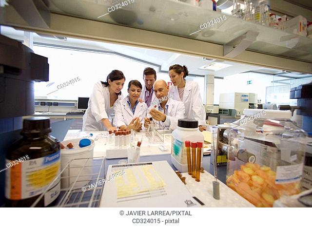 Inasmet-Tecnalia Foundation, Technology and Research Centre, San Sebastian Technological Park, Basque Country. Chemists with Petri dishes, microbiology lab