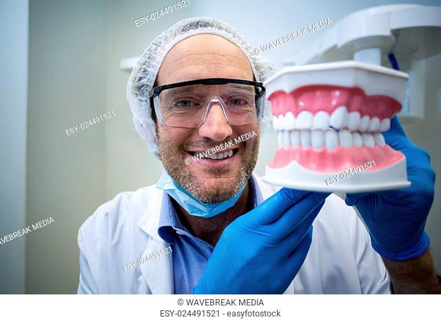 Dentist holding a mouth model