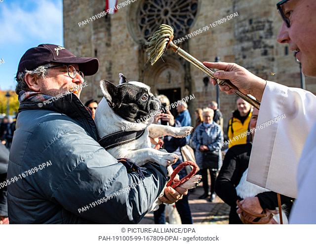 05 October 2019, Lower Saxony, Osnabrück: Carsten Lehmann (r), deacon of the cathedral parish, blesses a dog in front of the Osnabrück cathedral