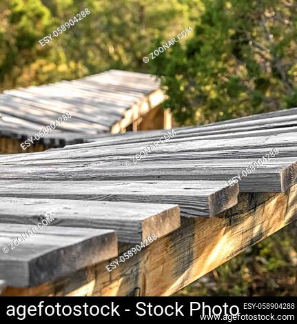 Square frame Close up of a bridge in the forest surrounded by lush green trees. The structure is made of rustic wooden planks and lit by sunlight on this sunny...