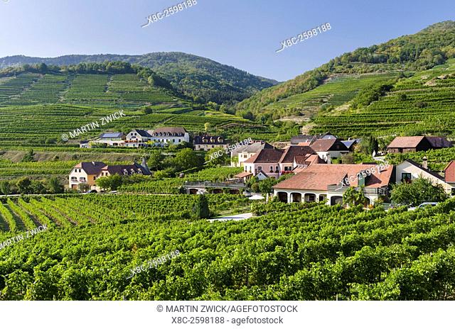 The village Spitz in the Wachau. The Wachau is a famous vineyard and listed as Wachau Cultural Landscape as UNESCO World Heritage