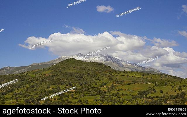 Spring in Crete, green meadows, olive groves, snow-capped mountains, blue sky, white clouds (cumulus), Amari Basin, Amari, Psiloritis, Ida Massif, Central Crete