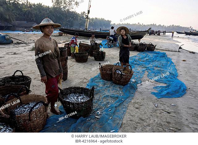 Native people standing around baskets of freshly caught fish on the beach of the fishing village Ngapali, fishing boats behind, early in the morning, Thandwe