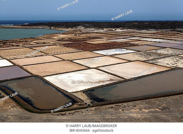 Sea salt production, salt pans, Salinas de Janubio, Lanzarote, Canary Islands, Spain