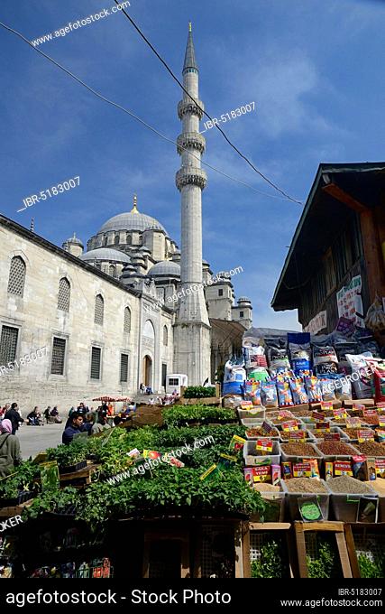 Plant market, at New Mosque, Yeni Cami, Istanbul, Turkey, Asia
