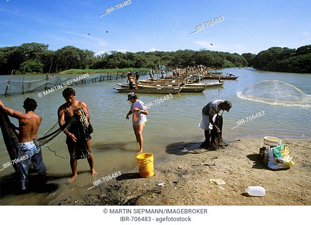 Fishermen, Laguna de Unare, El Hatillo, Anzoategui, Venezuela, South America