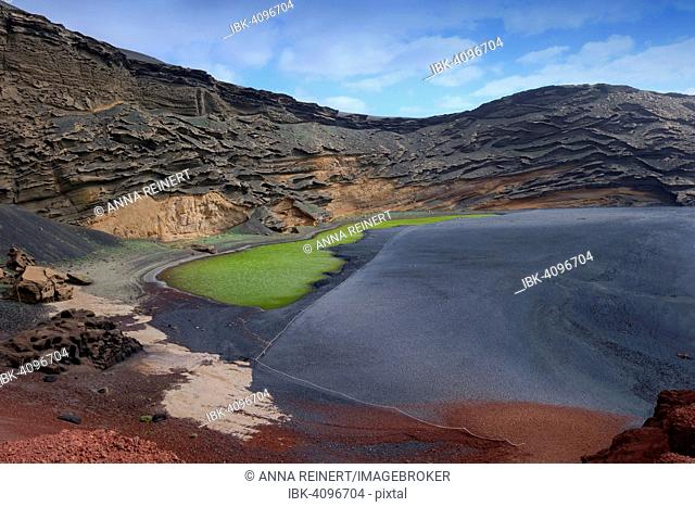 Green lagoon, Lago Verde, volcanic lake coloured green from algae, lava beach, Charco de los Clicos, caldera of El Golfo, Lanzarote, Canary Islands, Spain