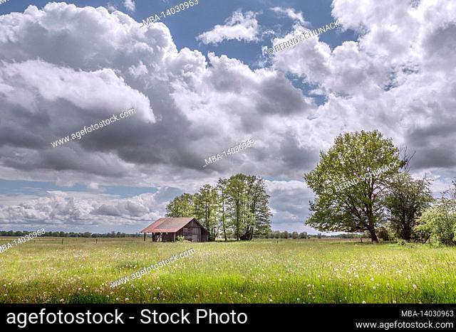 barn on a spring meadow in brandenburg