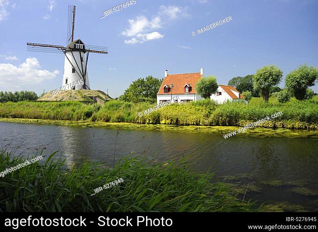 Windmill and canal, Damme, West Flanders, Belgium, Flanders, Europe